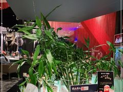 -将太无二·蓝鳍放题·北美寿司(领展购物广场中关村店)