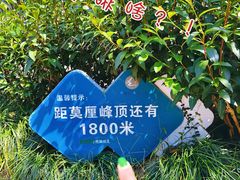 -雨花胜境