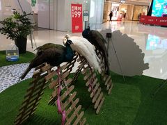 -万达广场(盐城盐都店)