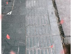 -甜嘟嘟烘焙坊(舒城路店)