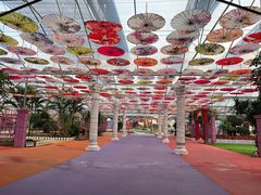 -广东花都香草世界旅游度假区