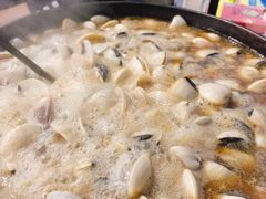 -顺德哥卜卜贝(旗舰店)