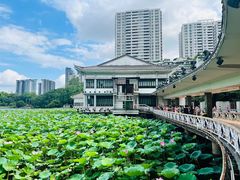 -荔湾湖公园