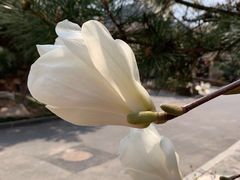 -金石唐风国际温泉会馆