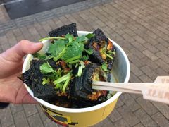 -黑色经典臭豆腐·湖南特产(潇湘文化店)