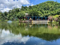 -西双版纳原始森林公园