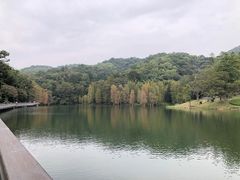 -广州市白云山风景名胜区