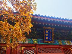 -香山公园