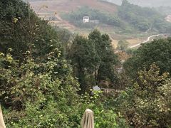 -远山有窑
