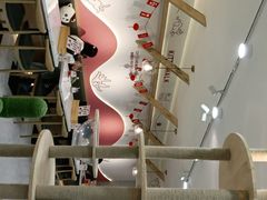 -喵园·猫主题咖啡厅·撸猫·猫咖(国贸店)