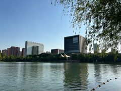 -天鹅湖体育公园