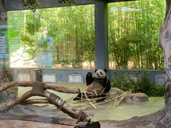 -海南热带野生动植物园