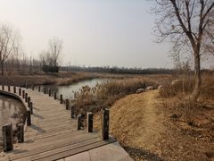 -淇河国家湿地公园