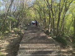 -紫金山山顶公园