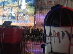 -音乐虫量贩式KTV(大悦城店)