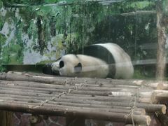 -黔灵山公园