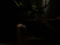 -避尘Bsense·SPA(太古里旗舰店)