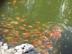 -常熟方塔园