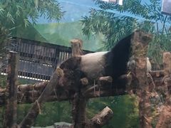 -黔灵山公园-南门售票处