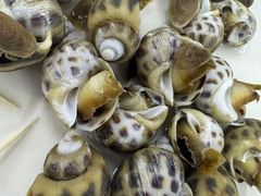 -众味海鲜大排档·活海鲜·潮汕味(南澳店)