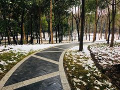 -昆山城市生态森林公园