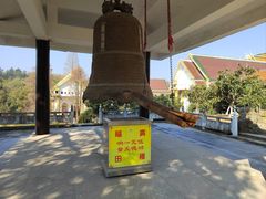 -报恩禅寺