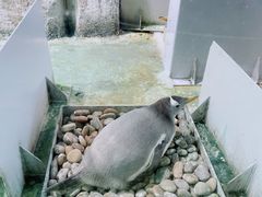 -大连圣亚海洋世界