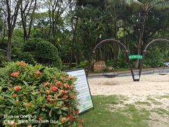 -深圳国际园林花卉博览园