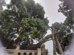 -七曲山风景区
