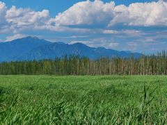 -野鸭湖国家湿地公园