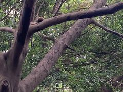 -成都市活水公园
