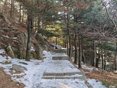 -泰山风景名胜区