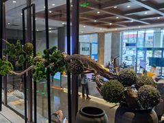 -星河湾温泉洗浴酒店