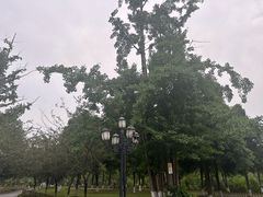 -成都南湖公园