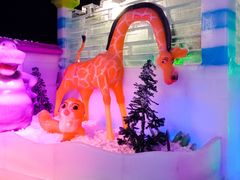 -西霞口神雕山野生动物世界