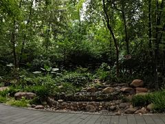 -成都市活水公园