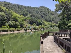 -刘伯温故里景区百丈漈