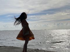 -宝安西湾红树林湿地公园