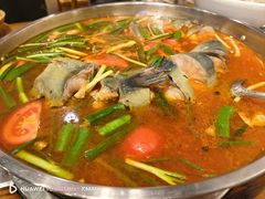 -亮欢寨酸汤鱼(沙冲路店)