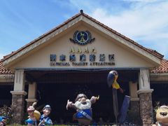 -重庆海昌加勒比海水世界