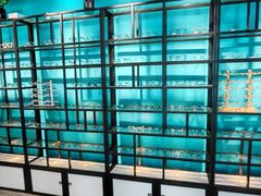 -Trend1881视光·蔡司视觉(领展广场店)