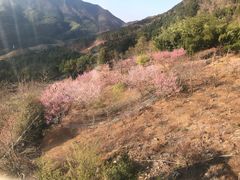 -金子山原生态旅游风景区