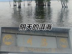 -大理洱海