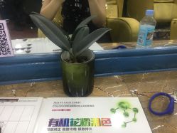 -Hair Glam 格拉姆造型旗舰店