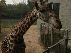 android_upload_pic-石家庄市动物园