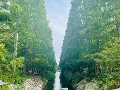 -东平国家森林公园