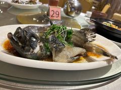 -强记海鲜·大排档(蛇口新街店)