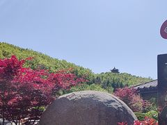 -《神游传奇》秀