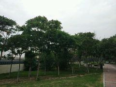 -鹦鹉寺公园