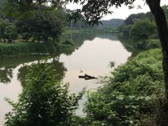 -南国桃园旅游度假区